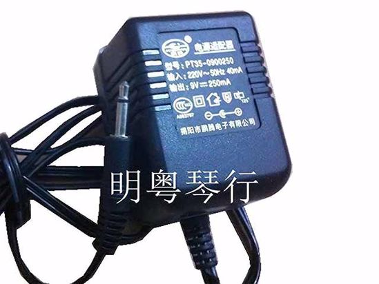 ACP Other Brand AC Adapter 5V-12V 9V 0.25A, Audio Tip, US 2-Pin, New